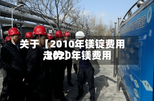 关于【2010年镁锭费用,2020年镁费用走势】