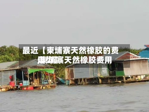 最近【柬埔寨天然橡胶的费用,柬埔寨天然橡胶费用走势】-第2张图片