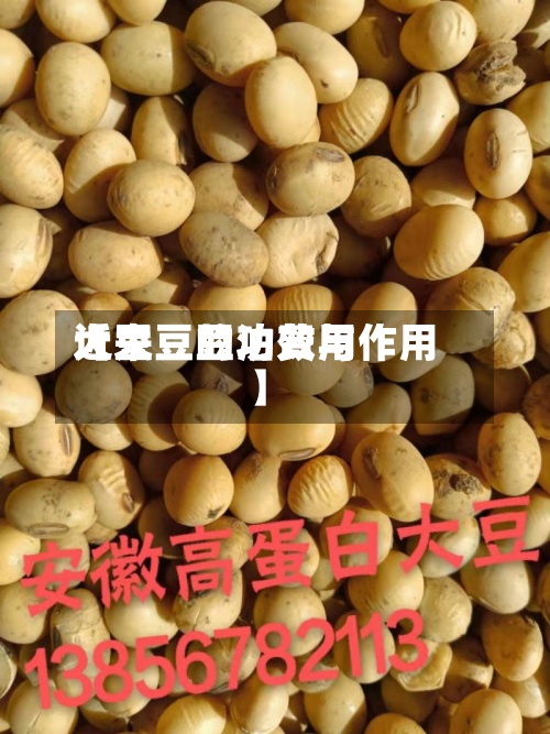 近来
【大豆豆泊费用
大豆豆的功效与作用】-第3张图片