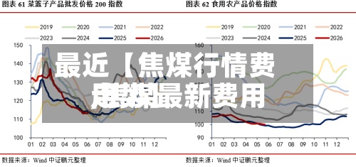 最近【焦煤行情费用,焦煤最新费用走势】-第2张图片