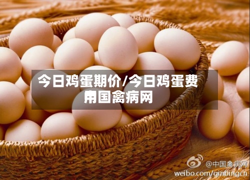 今日鸡蛋期价/今日鸡蛋费用中国禽病网
