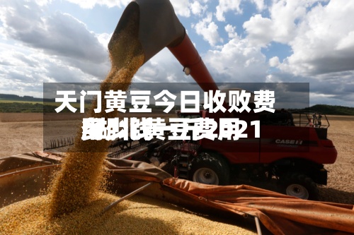 天门黄豆今日收败费用/湖北黄豆费用多少钱一斤2021-第3张图片