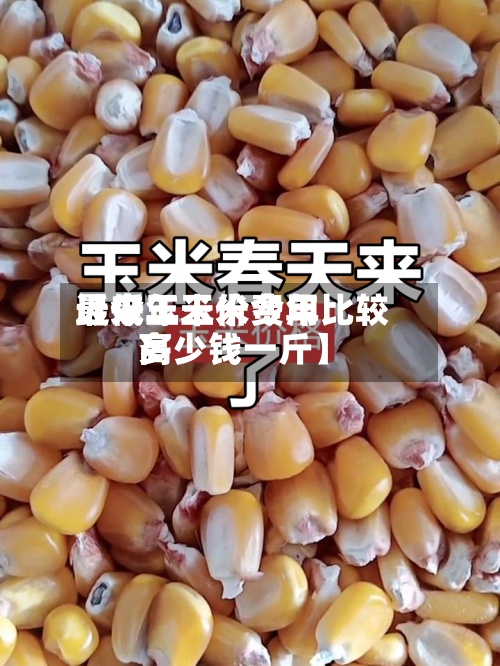 近来【今年玉米费用最低玉米价今年比较高多少钱一斤】-第3张图片