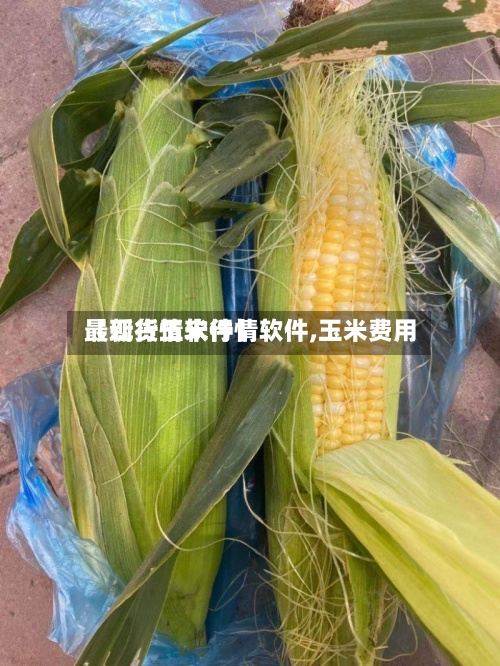 【现货玉米行情软件,玉米费用最新行情软件】-第2张图片