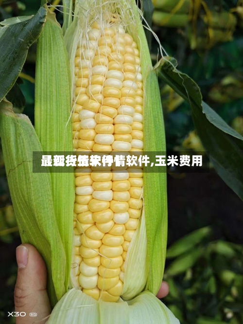 【现货玉米行情软件,玉米费用最新行情软件】