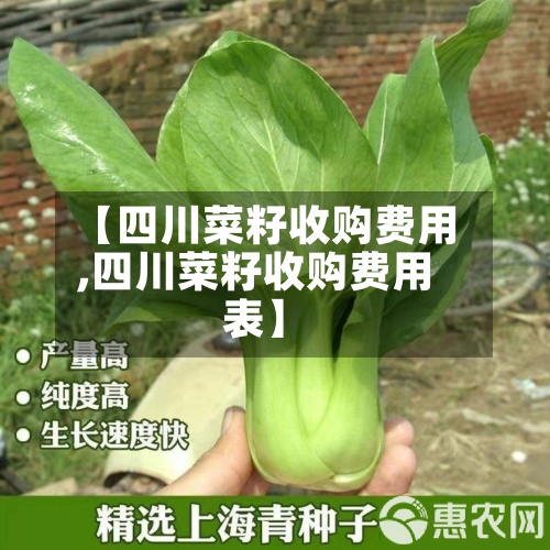 【四川菜籽收购费用,四川菜籽收购费用表】