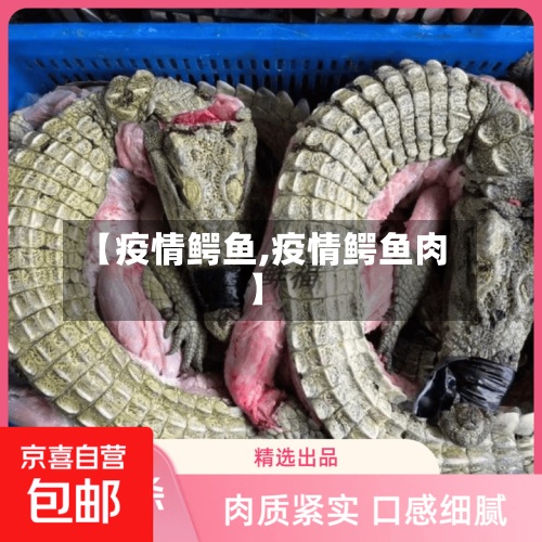 【疫情鳄鱼,疫情鳄鱼肉】