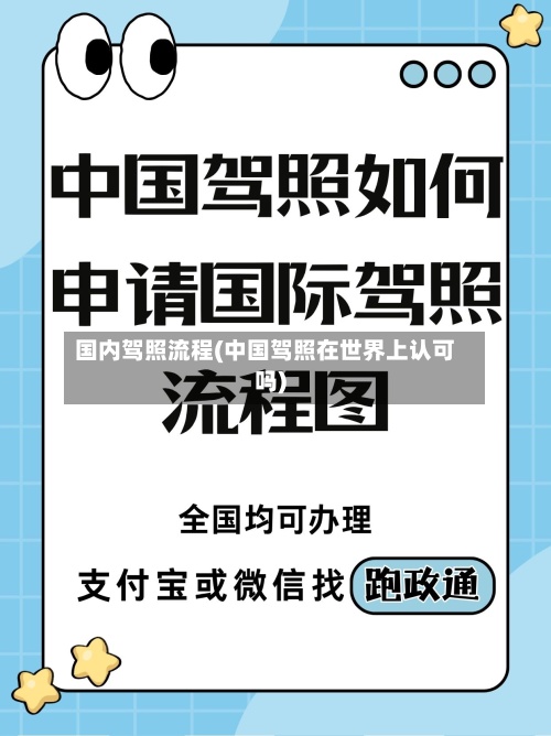 国内驾照流程(中国驾照在世界上认可吗)