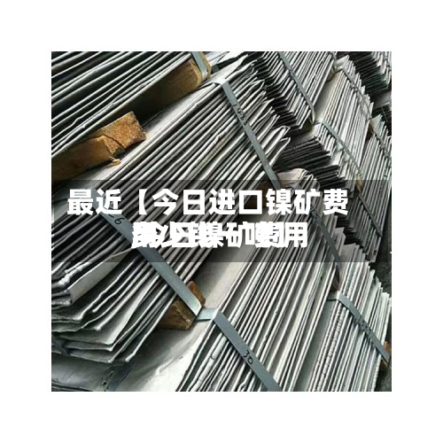 最近【今日进口镍矿费用,今日镍矿费用多少钱一吨】-第3张图片