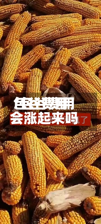 包谷费用/包谷费用会涨起来吗