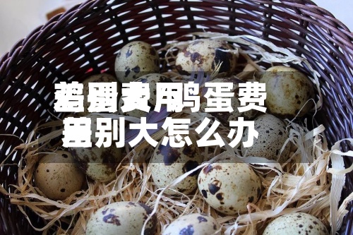 鸡蛋费用差别大/鸡蛋费用差别大怎么办-第2张图片