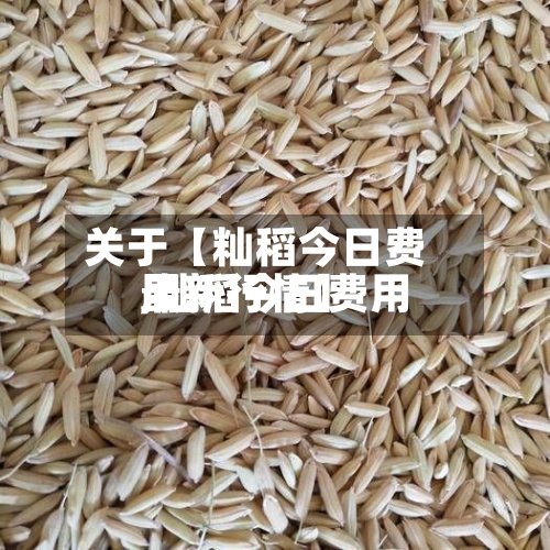 关于【籼稻今日费用
,籼稻今日费用
最新行情】-第2张图片