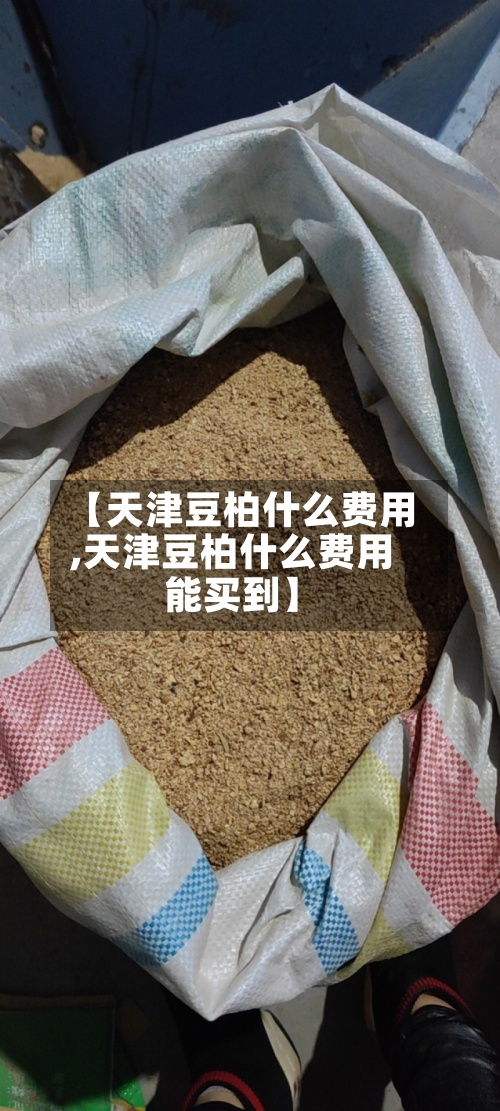 【天津豆柏什么费用,天津豆柏什么费用能买到】