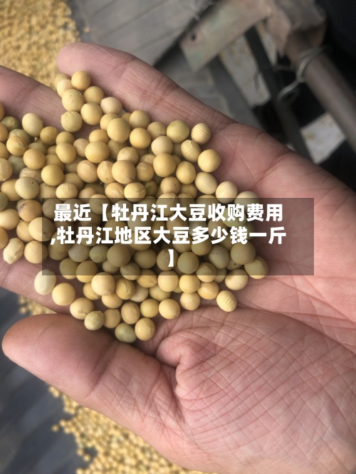 最近【牡丹江大豆收购费用,牡丹江地区大豆多少钱一斤】
