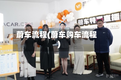蔚车流程(蔚车购车流程)