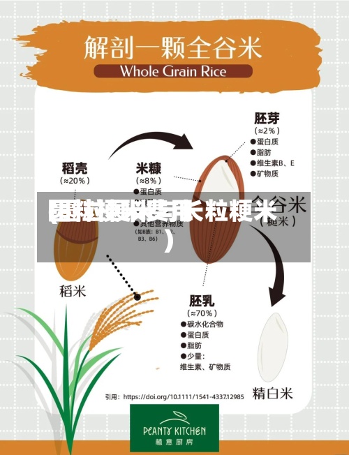 圆粒梗米费用
(圆粒粳米与长粒粳米)-第2张图片