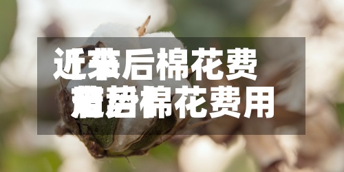 近来【节后棉花费用节后棉花费用走势】