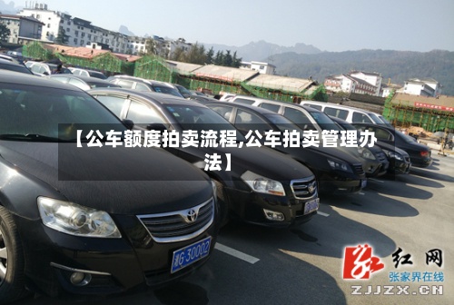 【公车额度拍卖流程,公车拍卖管理办法】