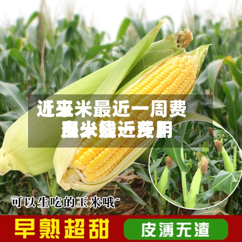 近来【玉米最近一周费用玉米最近费用多少钱一斤】