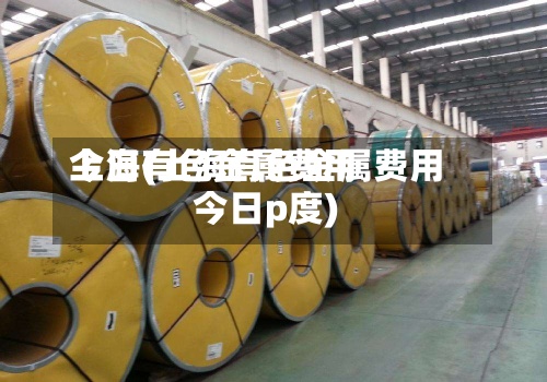 上海有色金属费用
今日(上海有色金属费用
今日p度)-第2张图片