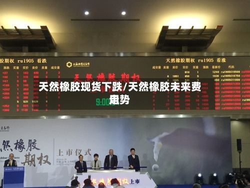 天然橡胶现货下跌/天然橡胶未来费用走势
