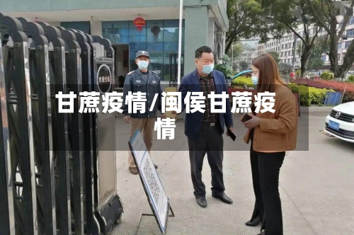 甘蔗疫情/闽侯甘蔗疫情