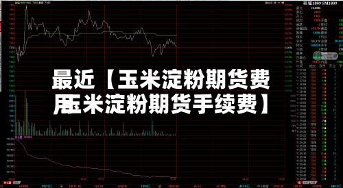 最近【玉米淀粉期货费用
,玉米淀粉期货手续费】-第2张图片
