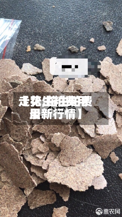 【花生粕费用
走势,花生粕费用
最新行情】-第2张图片