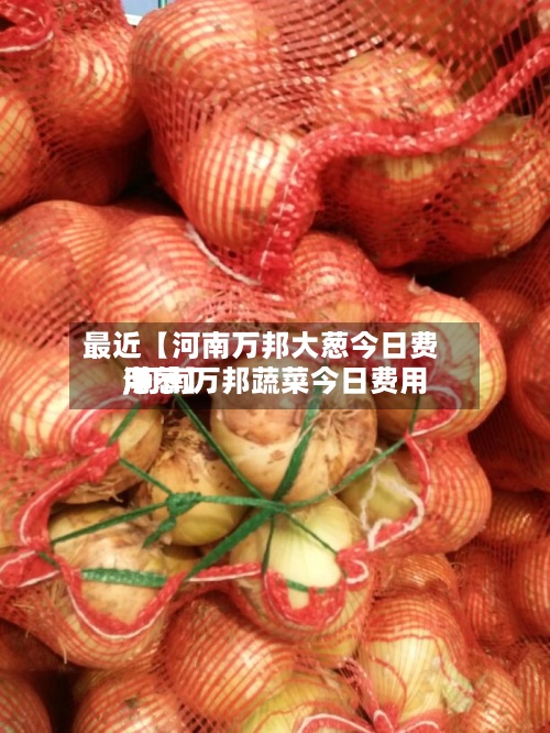 最近【河南万邦大葱今日费用,河南万邦蔬菜今日费用洋葱】-第2张图片