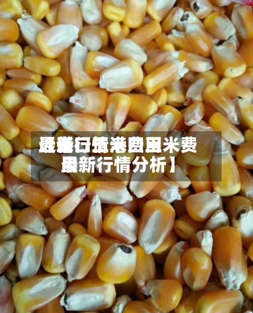 近来【港口玉米费用最新行情港口玉米费用最新行情分析】-第3张图片