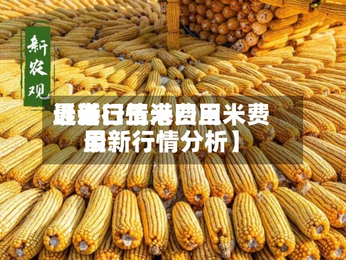 近来【港口玉米费用最新行情港口玉米费用最新行情分析】-第2张图片