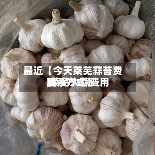 最近【今天莱芜蒜苔费用,莱芜大蒜费用联系方式】