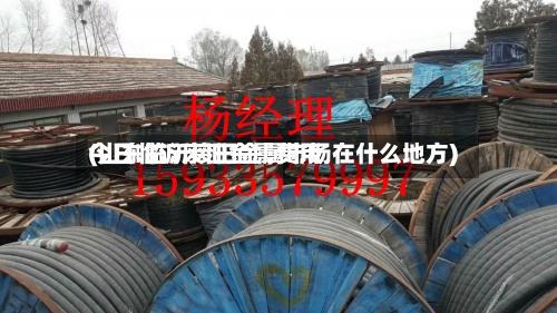 今日临沂废旧金属费用(山东临沂废旧金属市场在什么地方)