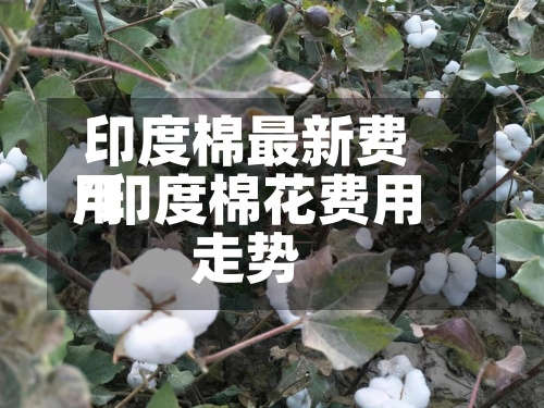印度棉最新费用/印度棉花费用走势