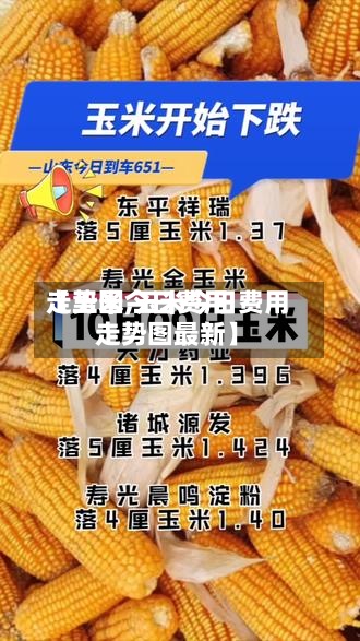 【玉米今日费用走势图,玉米今日费用走势图最新】