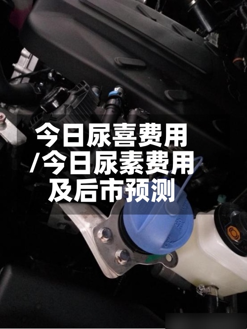 今日尿喜费用/今日尿素费用及后市预测
