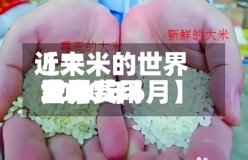 近来
【大米的世界
费用
世界
大米费用
2020年6月】-第3张图片