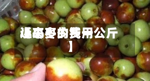 近来【小枣的费用小枣多少钱一公斤】