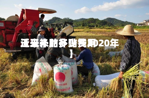 近来【玉米的补贴费用玉米补贴多少钱2020年】