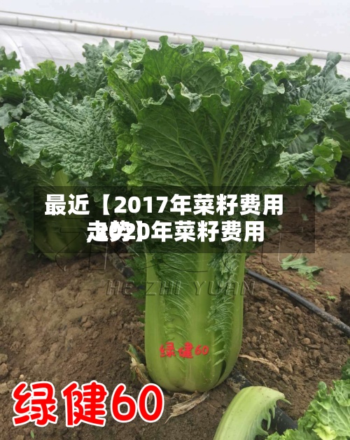 最近【2017年菜籽费用
,2020年菜籽费用
走势】-第3张图片