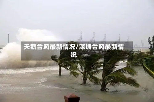天鹅台风最新情况/深圳台风最新情况