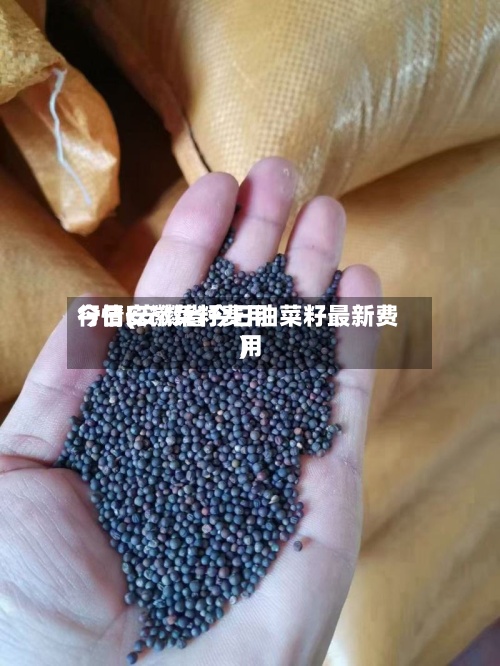 今日安徽菜籽费用行情(安徽省今日油菜籽最新费用)-第3张图片