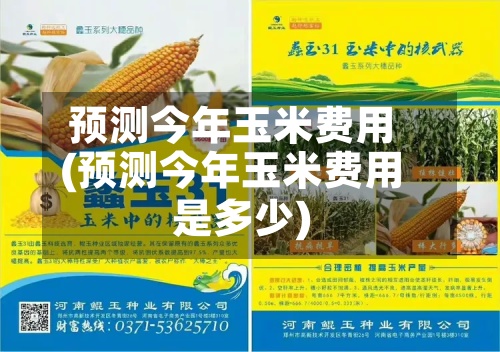 预测今年玉米费用(预测今年玉米费用是多少)