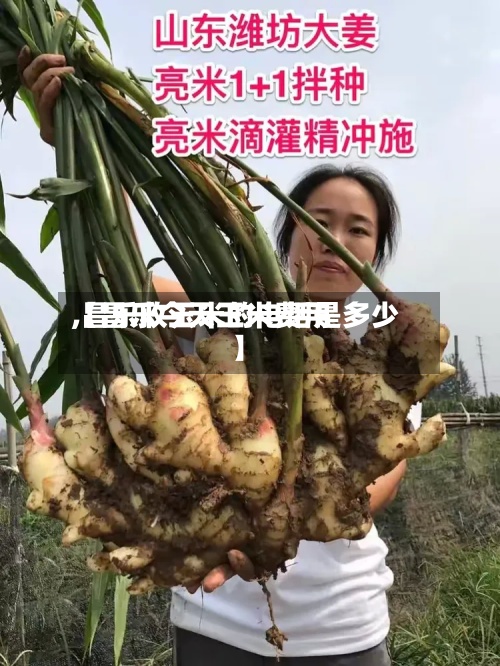 【昌乐今天玉米费用,昌乐收玉米的电话是多少】-第2张图片
