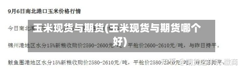 玉米现货与期货(玉米现货与期货哪个好)-第2张图片