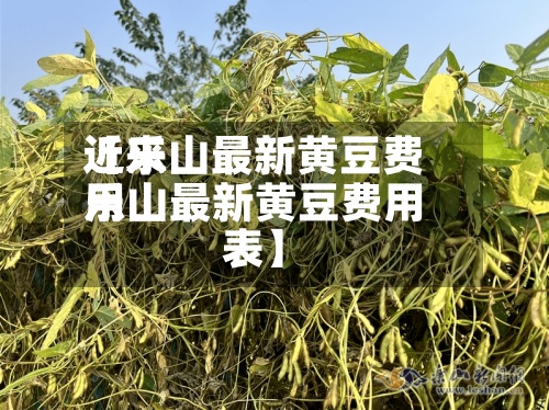 近来【乐山最新黄豆费用乐山最新黄豆费用表】-第2张图片