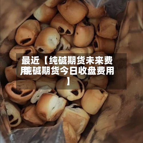 最近【纯碱期货未来费用,纯碱期货今日收盘费用】-第2张图片