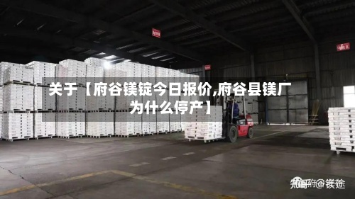 关于【府谷镁锭今日报价,府谷县镁厂为什么停产】-第2张图片