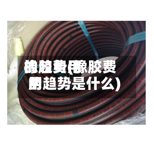 橡胶费用的趋势(橡胶费用的趋势是什么)