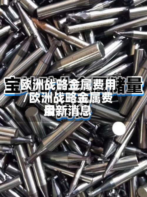 欧洲战略金属费用/欧洲战略金属费用最新消息